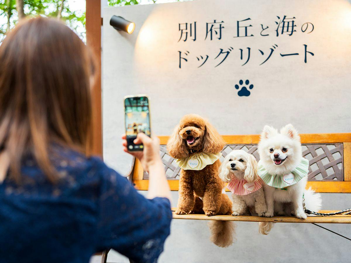 BEPPU DOG RESORT HILLS & BAY
