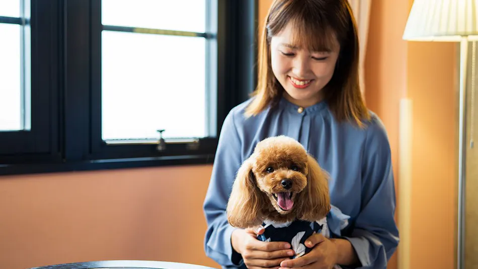 BEPPU DOG RESORT HILLS & BAY