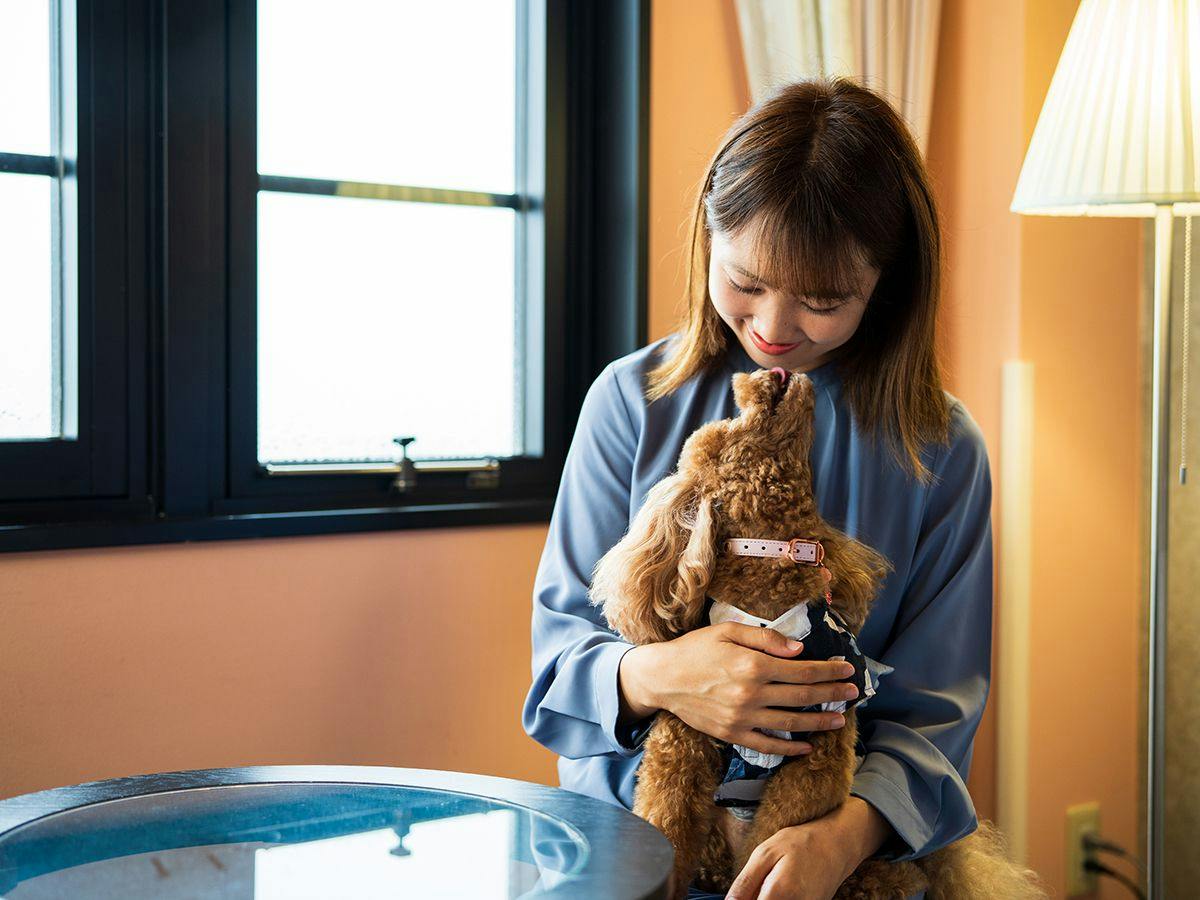 BEPPU DOG RESORT HILLS & BAY