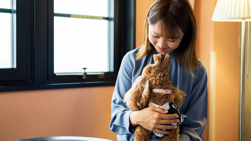 BEPPU DOG RESORT HILLS & BAY
