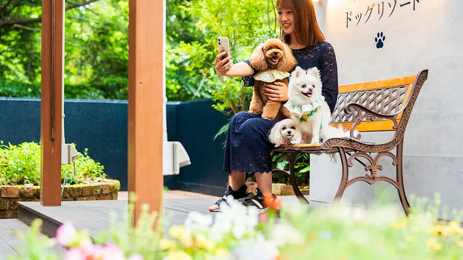 BEPPU DOG RESORT HILLS & BAY