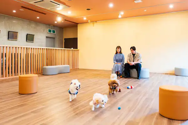 施設画像