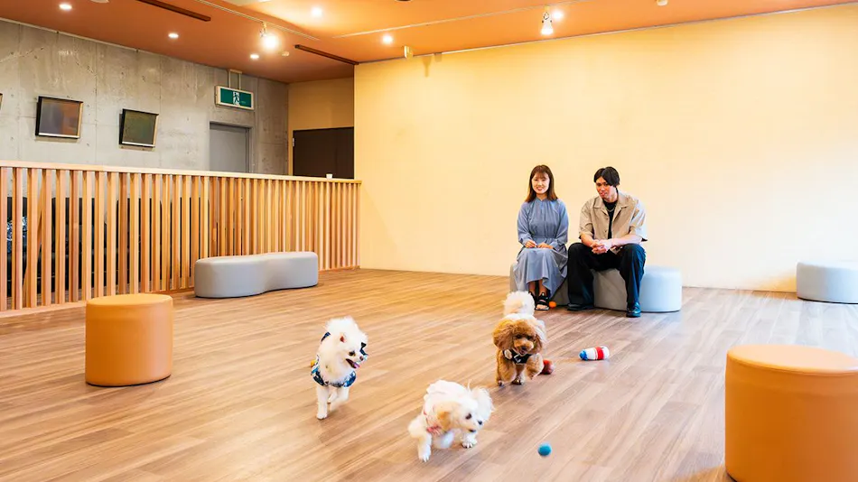 BEPPU DOG RESORT HILLS & BAY