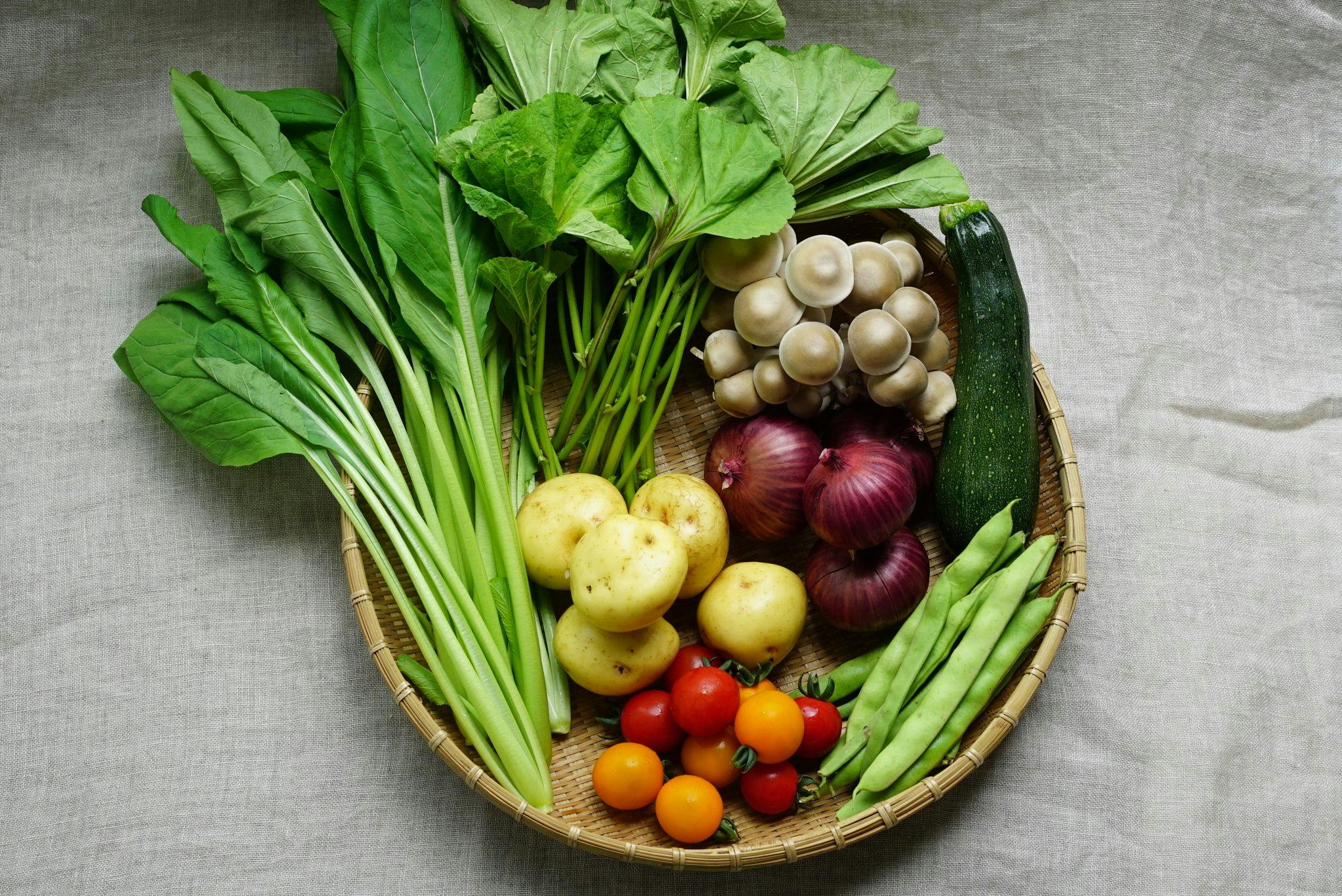 由坂之途中精選！當季蔬菜方案