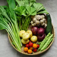 由坂之途中精選!當季蔬菜方案