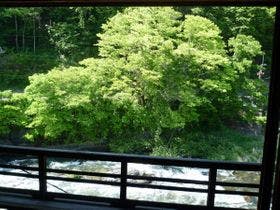 木曽路の宿いわや