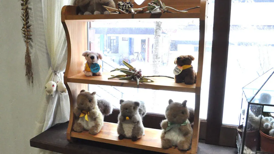 Hakuba Goryu and Omi Pension Risu no Koya
