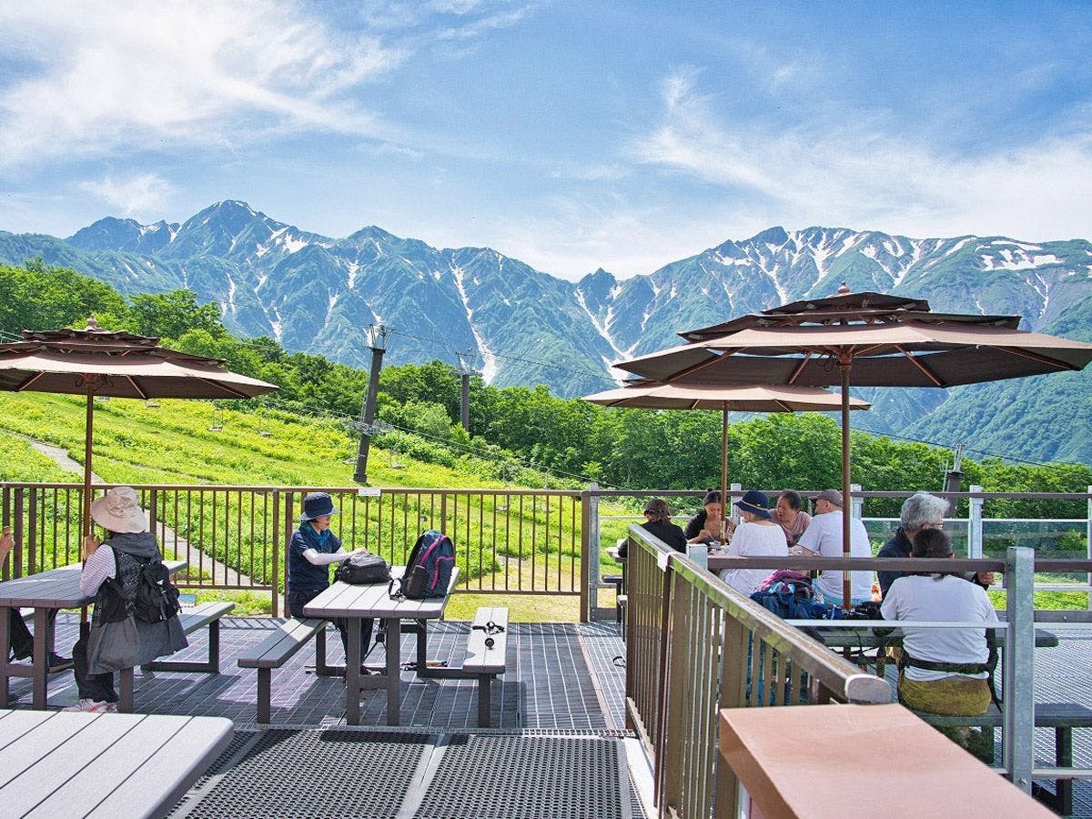 ทางเข้าสวนพฤกษศาสตร์, ที่นั่งระเบียงกลางแจ้งของร้านอาหาร