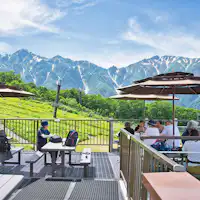 ทางเข้าสวนพฤกษศาสตร์, ที่นั่งระเบียงกลางแจ้งของร้านอาหาร