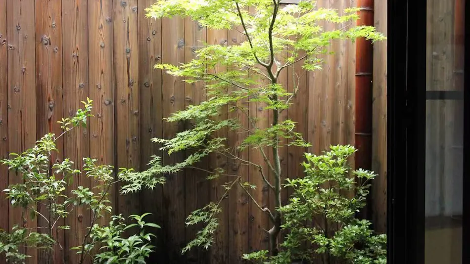 Kyomachiya Hoshiyado