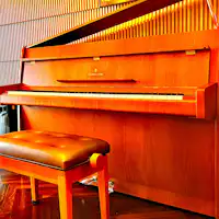 มีเปียโนสไตน์เวย์ติดตั้ง