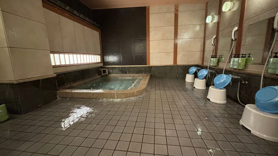 Kyoto Station Ganso Ekimae Matsumoto Ryokan