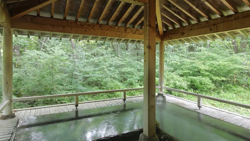 Hidden Hot Spring Kuzu Onsen Onjuku Kajika