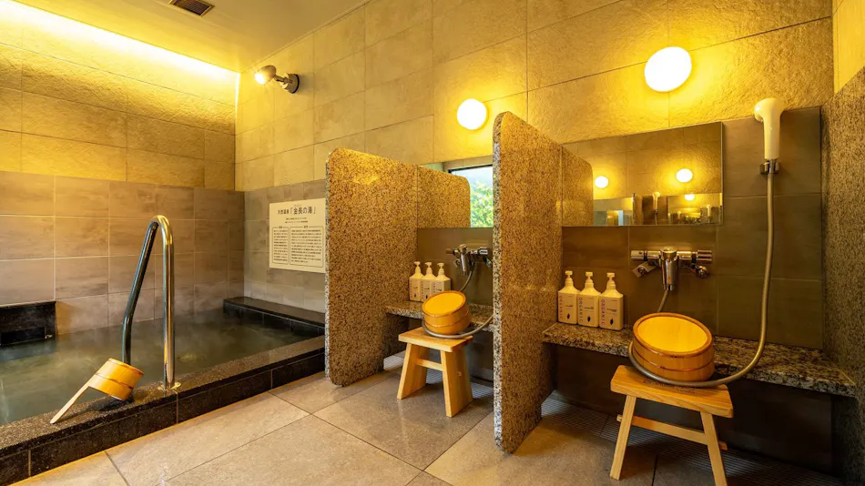 Super Hotel Tokushima Komatsushima Natural Hot Spring