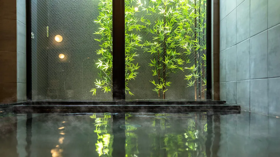 Super Hotel Tokushima Komatsushima Natural Hot Spring