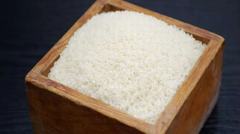 Nanki Shirahama Tsubaki Onsen Healing Inn Shirasagi