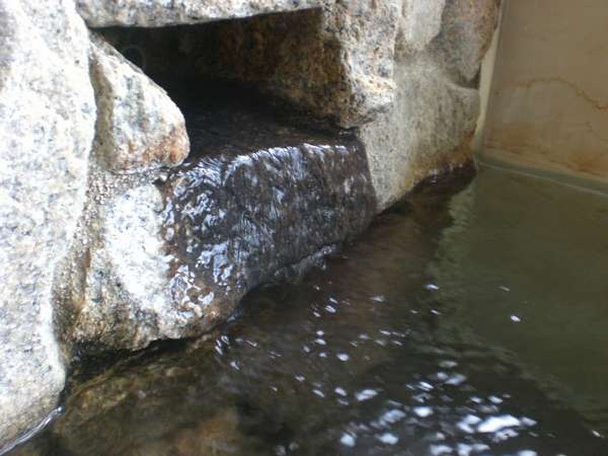 Nanki Shirahama Tsubaki Onsen Healing Inn Shirasagi