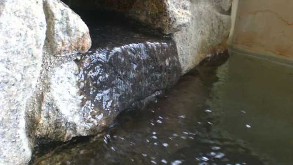 Nanki Shirahama Tsubaki Onsen Healing Inn Shirasagi