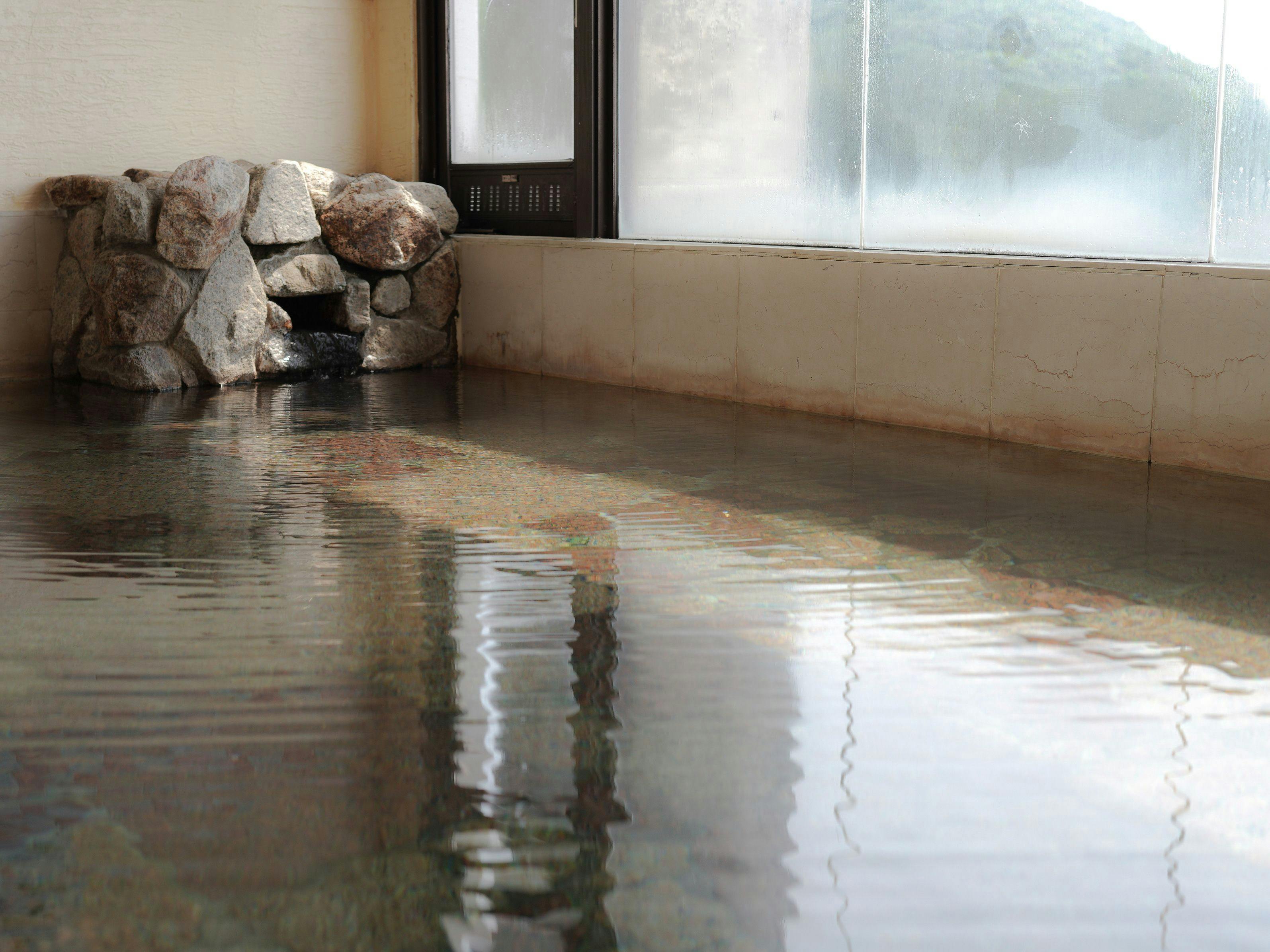 Nanki Shirahama Tsubaki Onsen Healing Inn Shirasagi