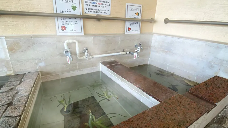 Nanki Shirahama Tsubaki Onsen Healing Inn Shirasagi