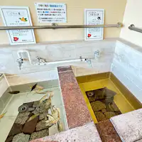 Daily changing baths: Wood vinegar bath and loquat leaf bath.