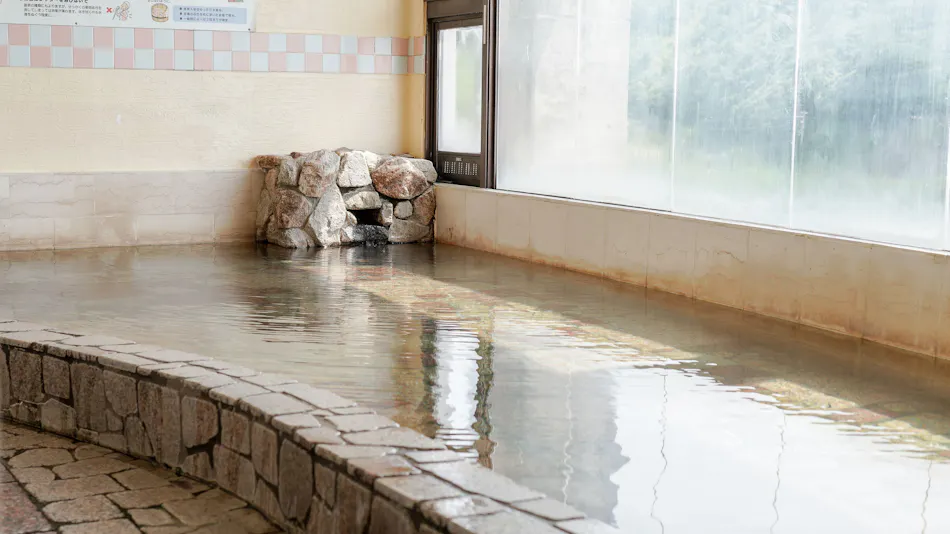 Nanki Shirahama Tsubaki Onsen Healing Inn Shirasagi