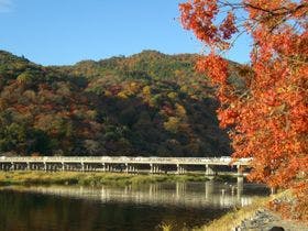 京都嵐山 花のいえ
