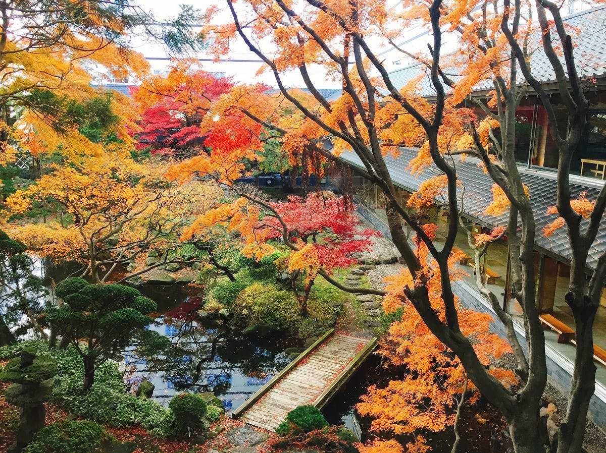 Hakodate Yunokawa Onsen Yumoto Takubokutei