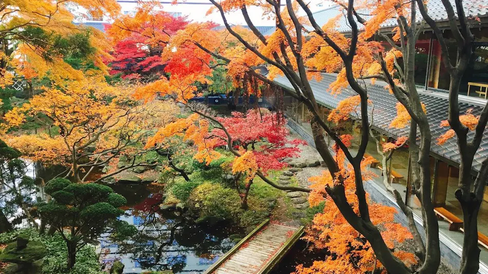 Hakodate Yunokawa Onsen Yumoto Takubokutei