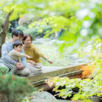 สวนมัตสึโอกะ