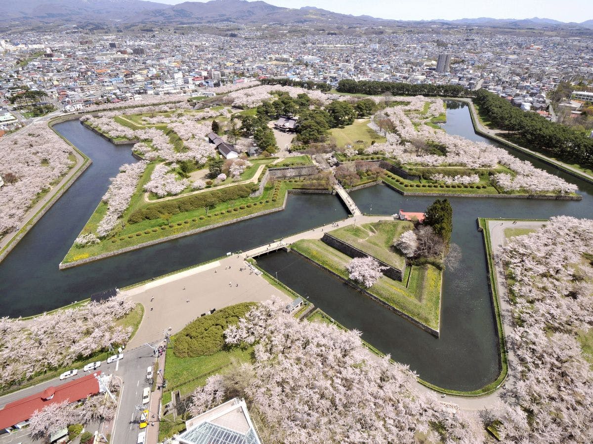 สวนโกเรียวคาคุในฤดูใบไม้ผลิ ที่ซากุระบานล้อมเป็นรูปดาว