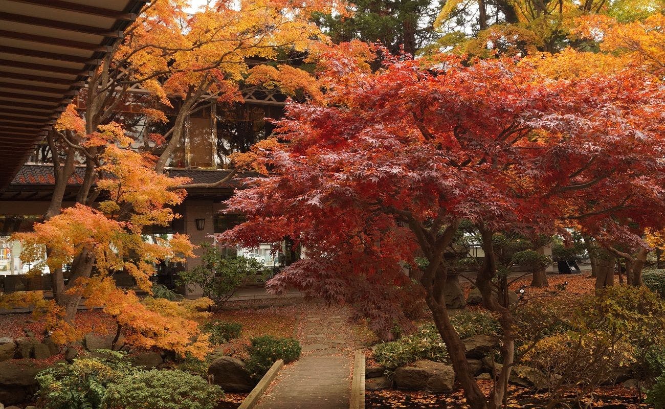Hakodate Yunokawa Onsen Yumoto Takubokutei