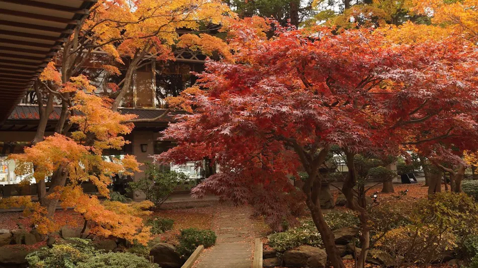 Hakodate Yunokawa Onsen Yumoto Takubokutei