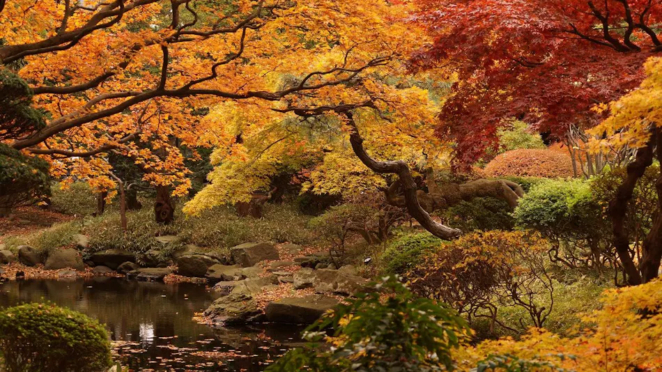 Hakodate Yunokawa Onsen Yumoto Takubokutei