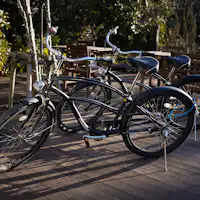 【บริการเช่าจักรยาน】