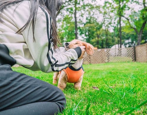 Premier－dome A(内観)