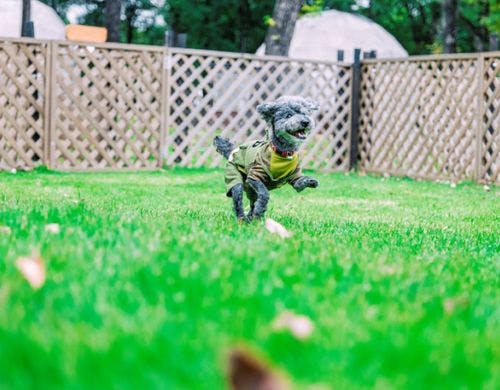 Premier－dome B(内観)