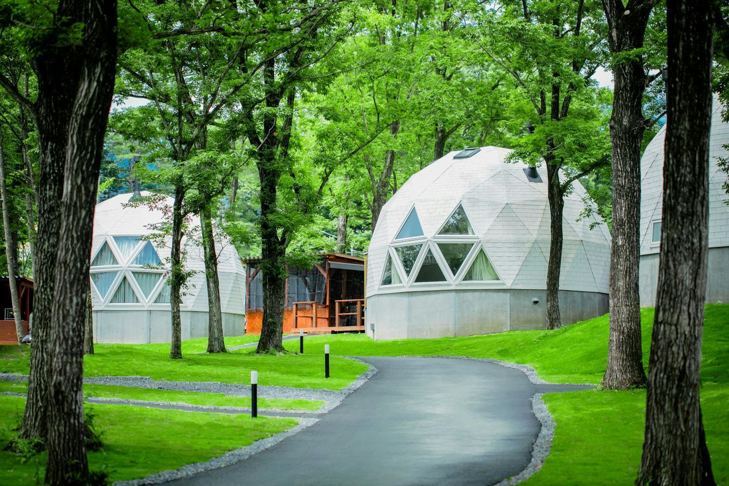 那須サファリパークの送迎 無料 ありの 近いホテル 旅館 16選 お得に宿泊予約 Yahoo トラベル