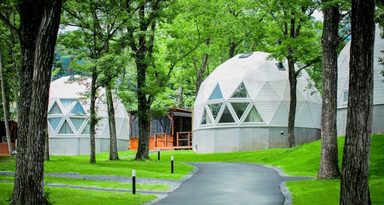 那須サファリパークの送迎 無料 ありの 近いホテル 旅館 16選 お得に宿泊予約 Yahoo トラベル 那須サファリパークの送迎 無料 ありの 近いホテル 旅館 16選 お得に宿泊予約 Yahoo トラベル