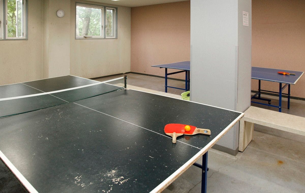 乒乓球（夏季限定）