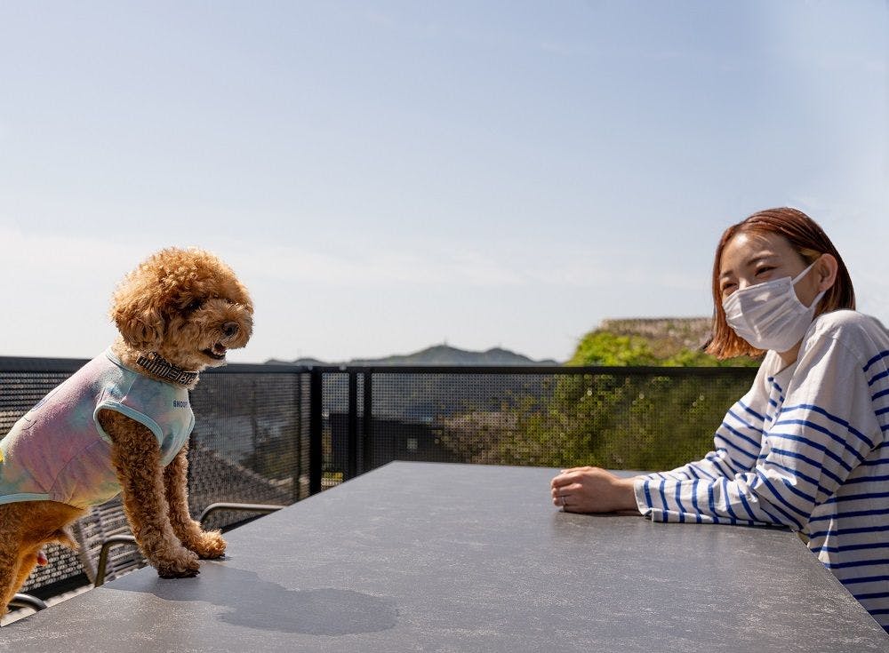 Awaji Island | Marine View