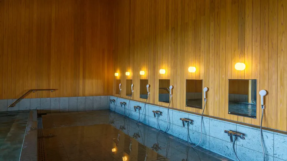 YU-FURI NASU-TAKAO ONSEN LODGE