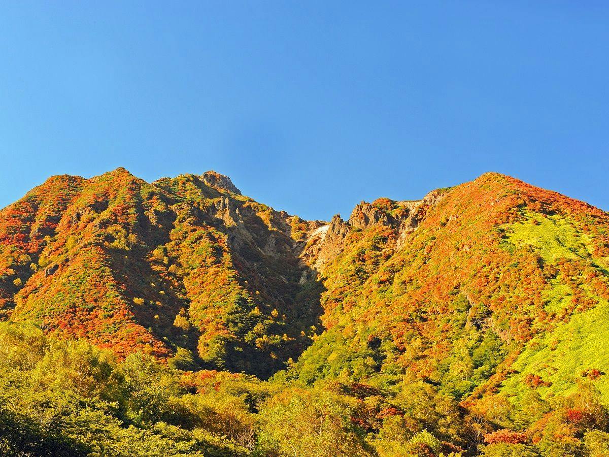 YU-FURI NASU-TAKAO ONSEN LODGE