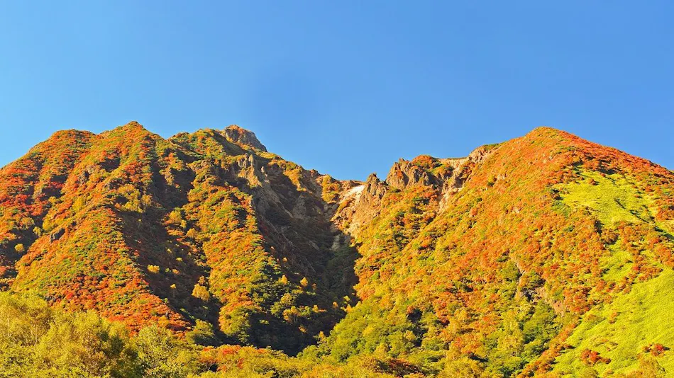 YU-FURI NASU-TAKAO ONSEN LODGE