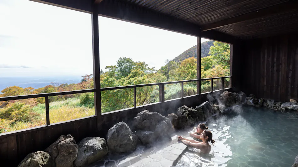 YU-FURI NASU-TAKAO ONSEN LODGE