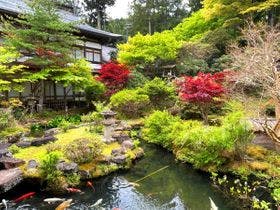 高野山　宿坊　大明王院