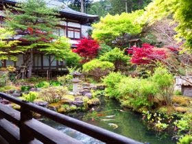 高野山　宿坊　大明王院