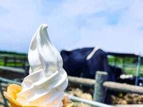 癒楽　伊豆大島