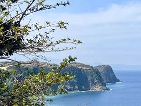 癒楽　伊豆大島