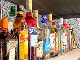 癒楽　伊豆大島